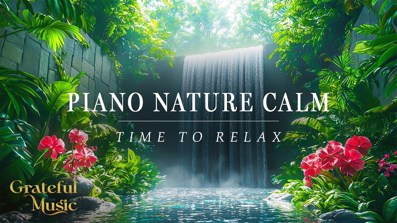 Piano Rain & Forest | Calm Music for Relaxation & Balance