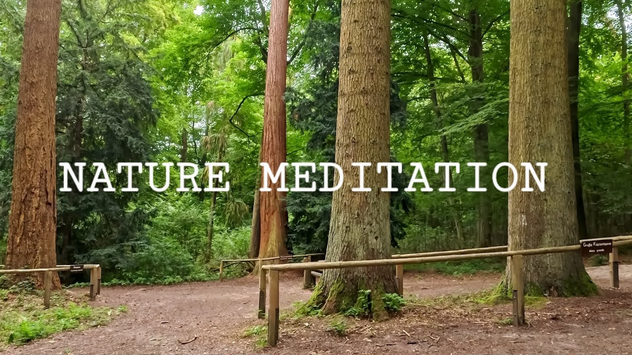 Nature Meditation with Redwoods | Relaxing Music, Forest Sounds, Birdsong | Entspannungsvideo 