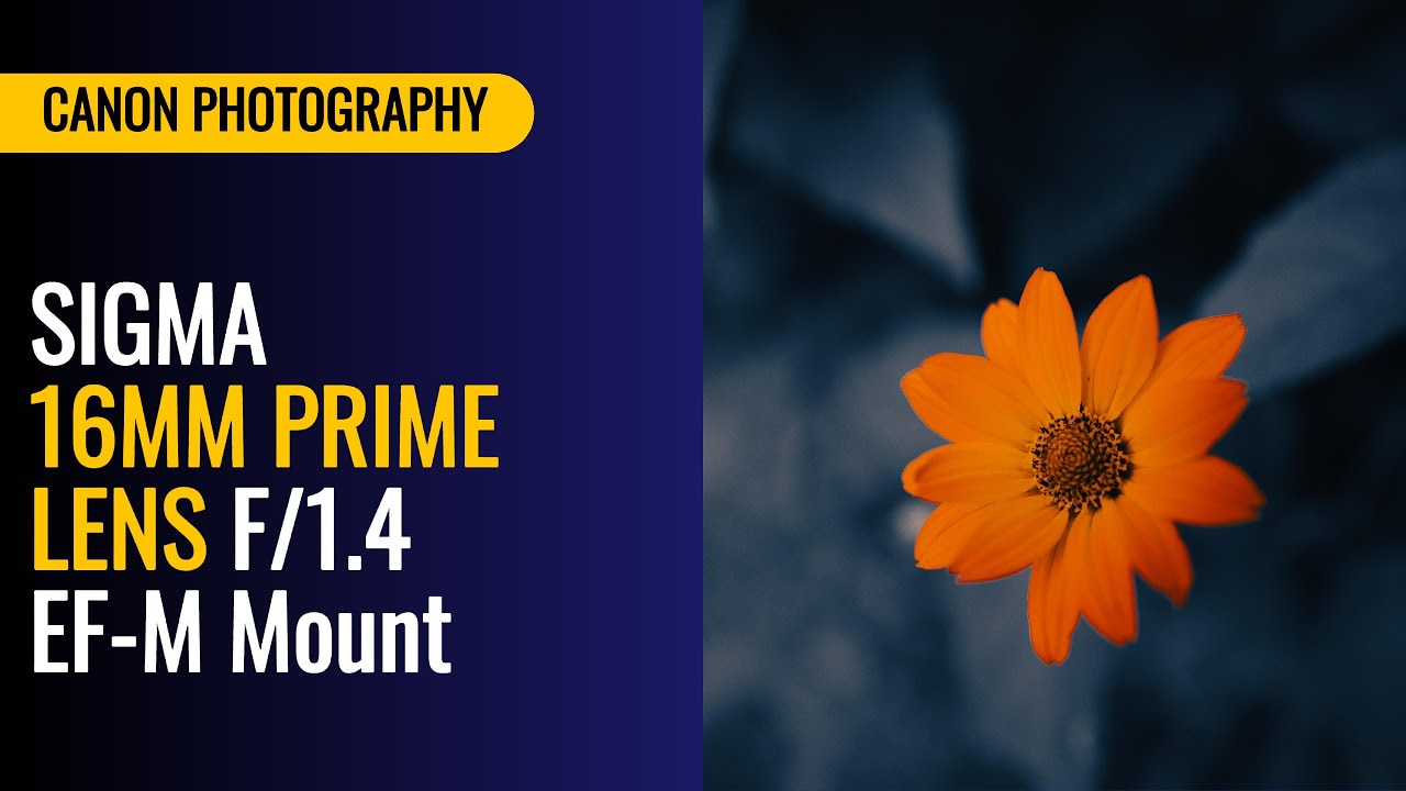 Sigma 16mm Prime Lens | Canon M50 Mark II | Part4