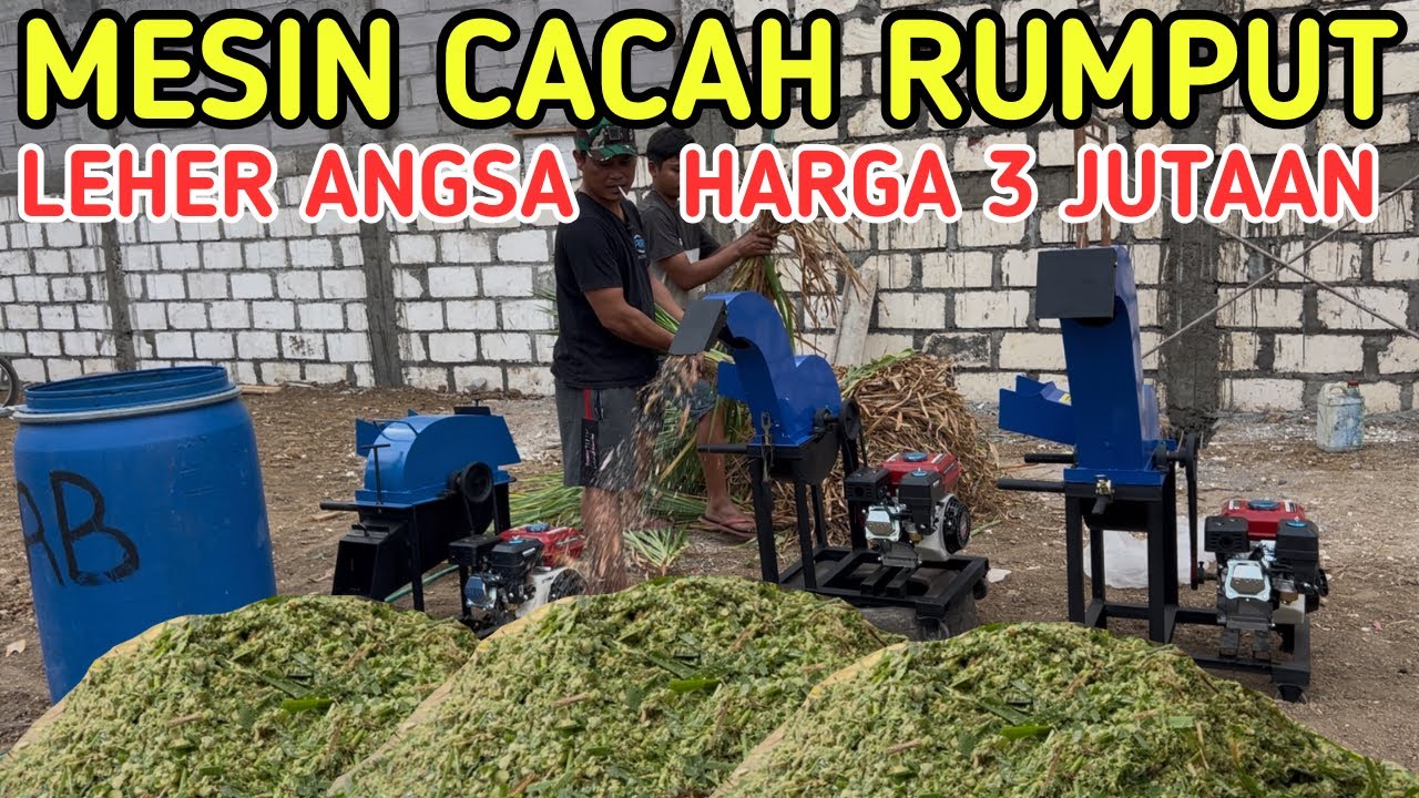 MESIN CACAH RUMPUT LEHER ANGSA HARGA 3 JUTA 100 RIBU