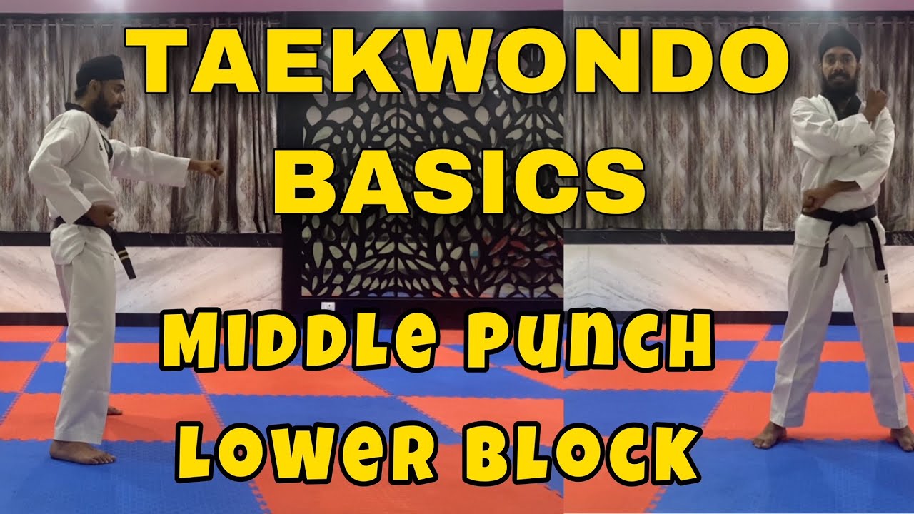 Taekwondo Basics Lesson 1 -  Middle Punch & Lower Block - Tutorial -  by Master Parminder