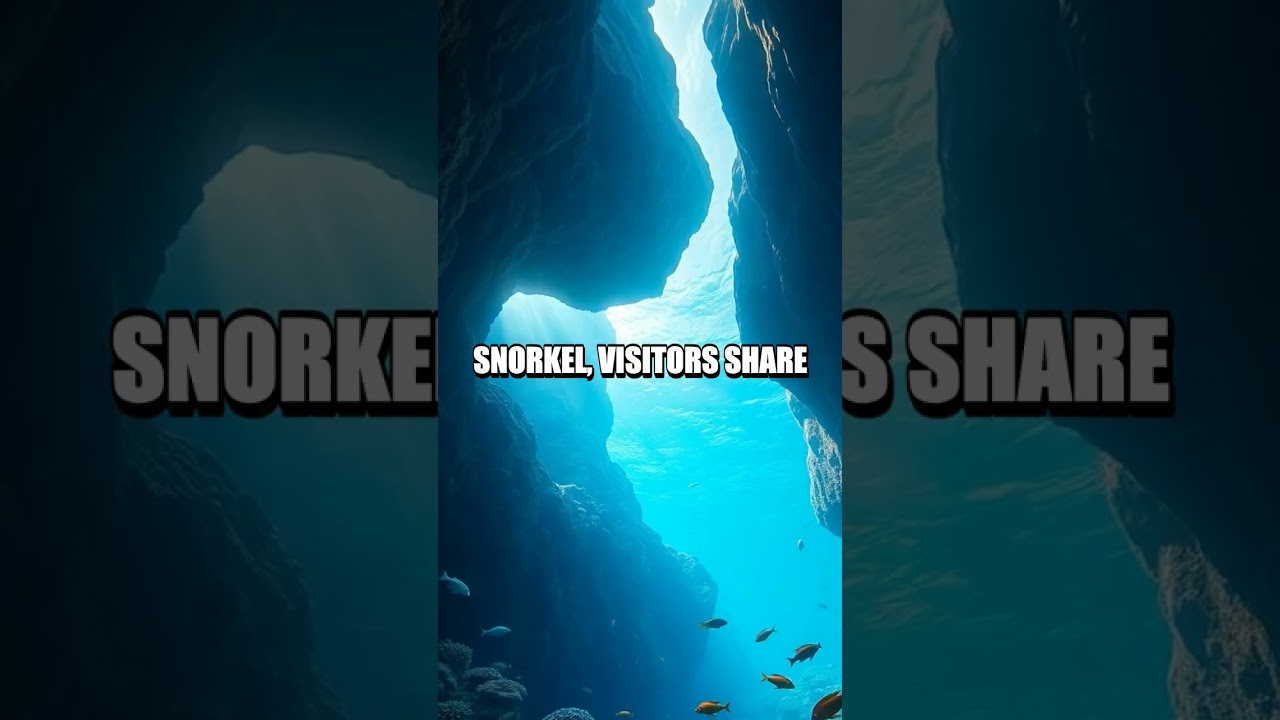 Blue Echoes of Okinawa Hidden Caves