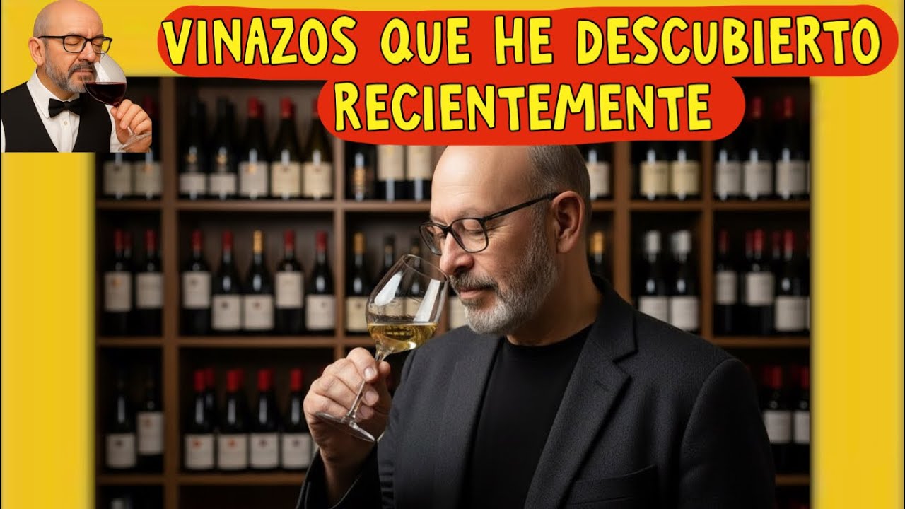 (465) LOS VINAZOS QUE HE DESCUBIERTO RECIENTEMENTE