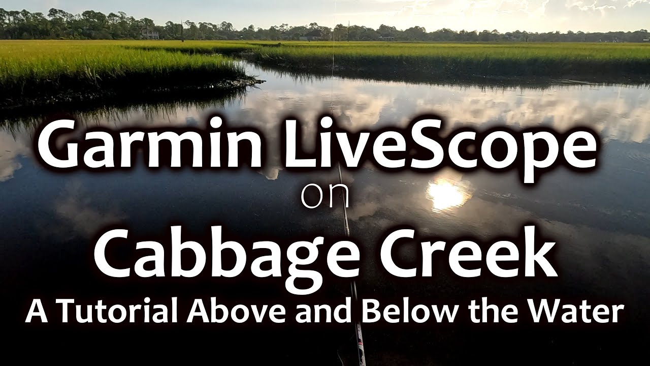 Garmin LiveScope on Cabbage Creek, Tutorial Above and Below the Water