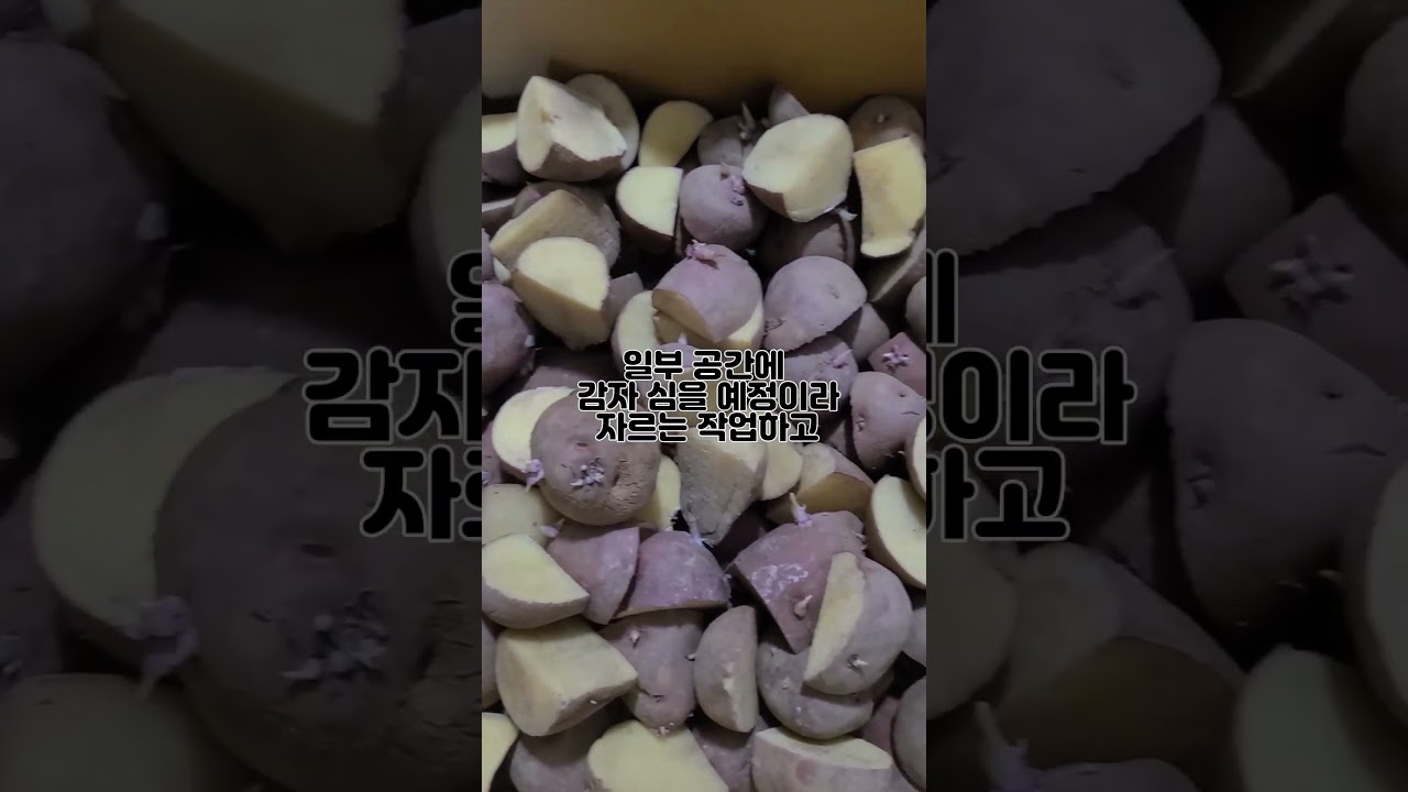 청년창업농업인 합격! 첫창농 합격자의 하루 #귀농
