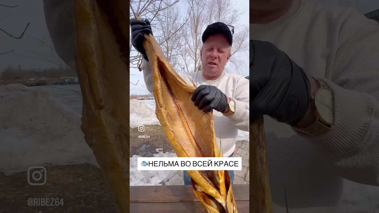 НЕЛЬМА ВО ВСЕЙ КРАСЕ #рыбец64