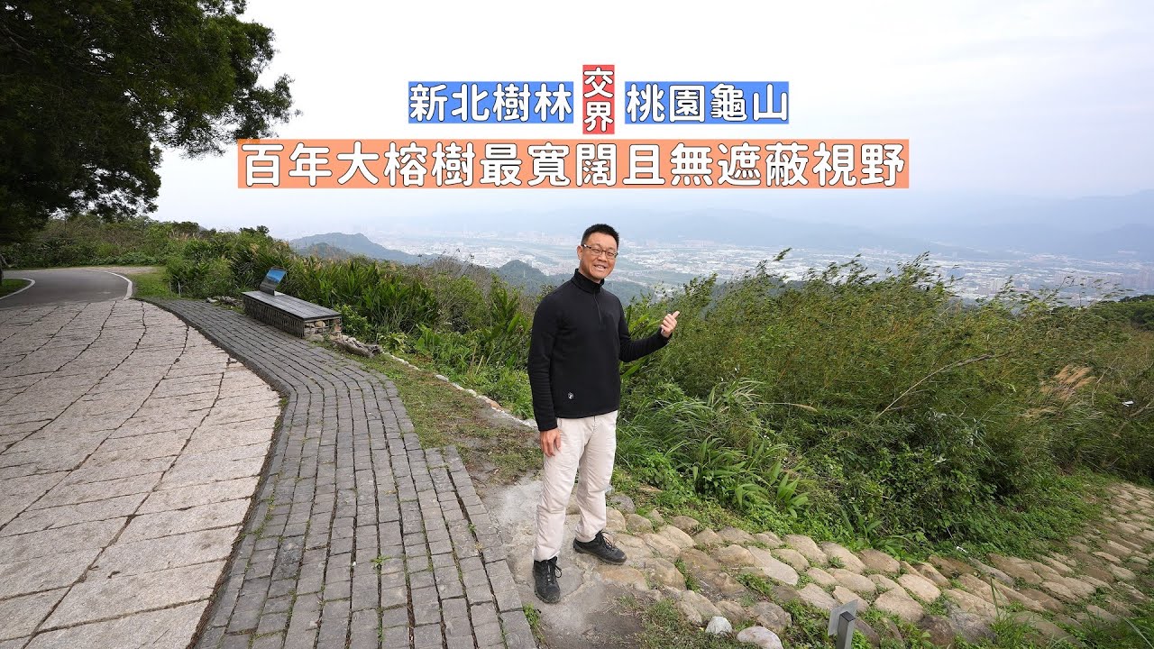 新北與桃園交界百年大榕樹平台給你最寬闊的視野三峽、鶯歌、八德盡收眼底，勇腳級鶯歌石步道直上！