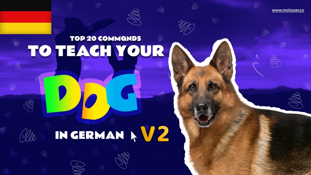 Teach Your Dog Commands In German (v2, corrected version) (20 Common Words)