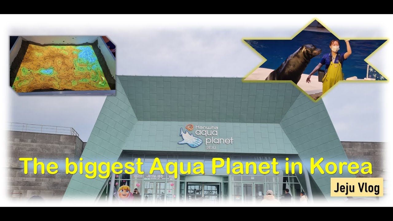 Jeju Hanwa Aqua Planet| Haenyo Diving performance| Jeju Island, South Korea| கொரியா வாழ் தமிழன்