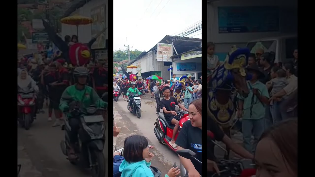 sisa kemarin cuta muda sawah dadap