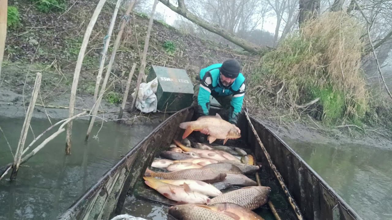 6=1 SAZAN AVI-YAYIN AVI-SERPME İLE BALIK AVI ÖZETİ-FISHING-ЛОВИТ РЫБУ