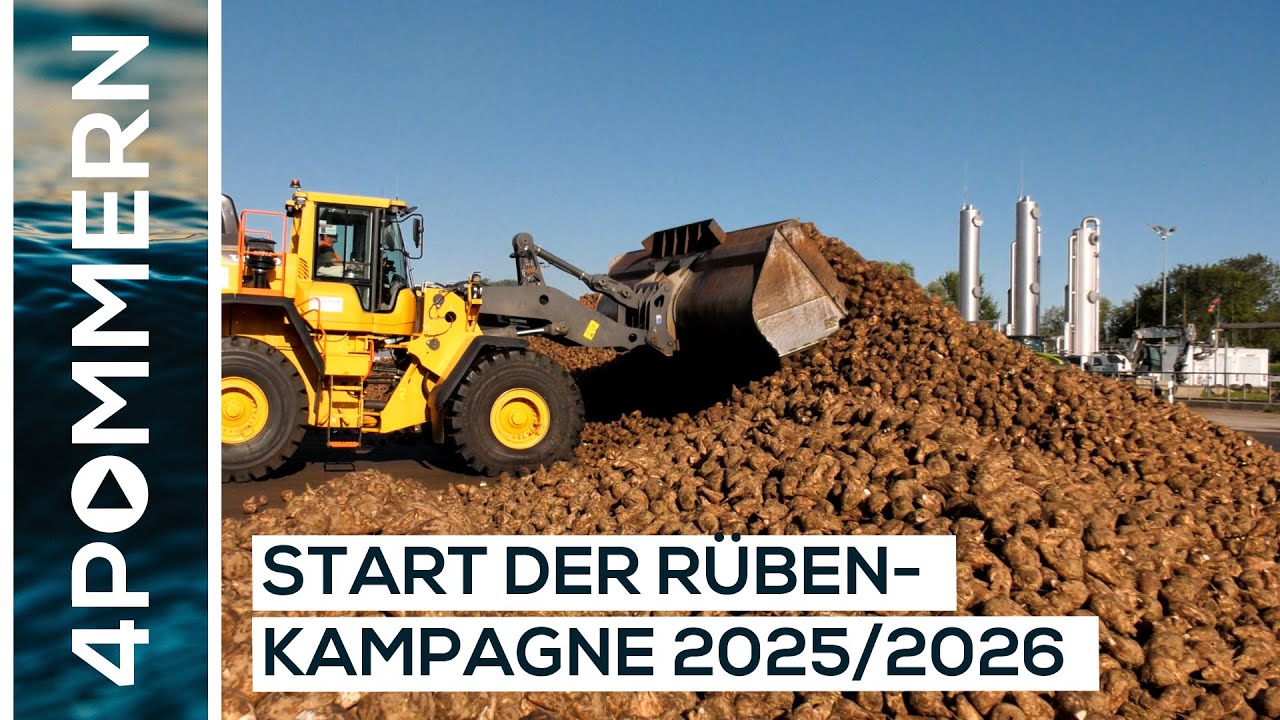 Start der Rübenkampagne 2025/2026 | Usedom TV