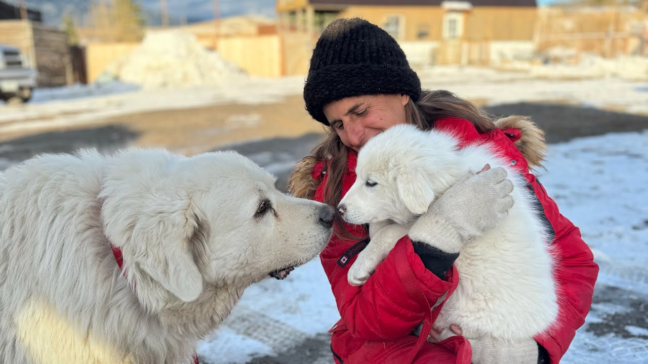 The First Day with Our Rescue Pup Martha