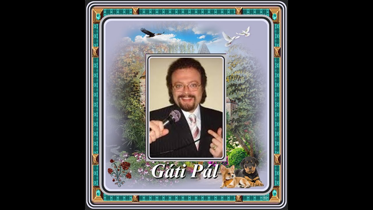 Gáti Pál : Visszanézek életemre