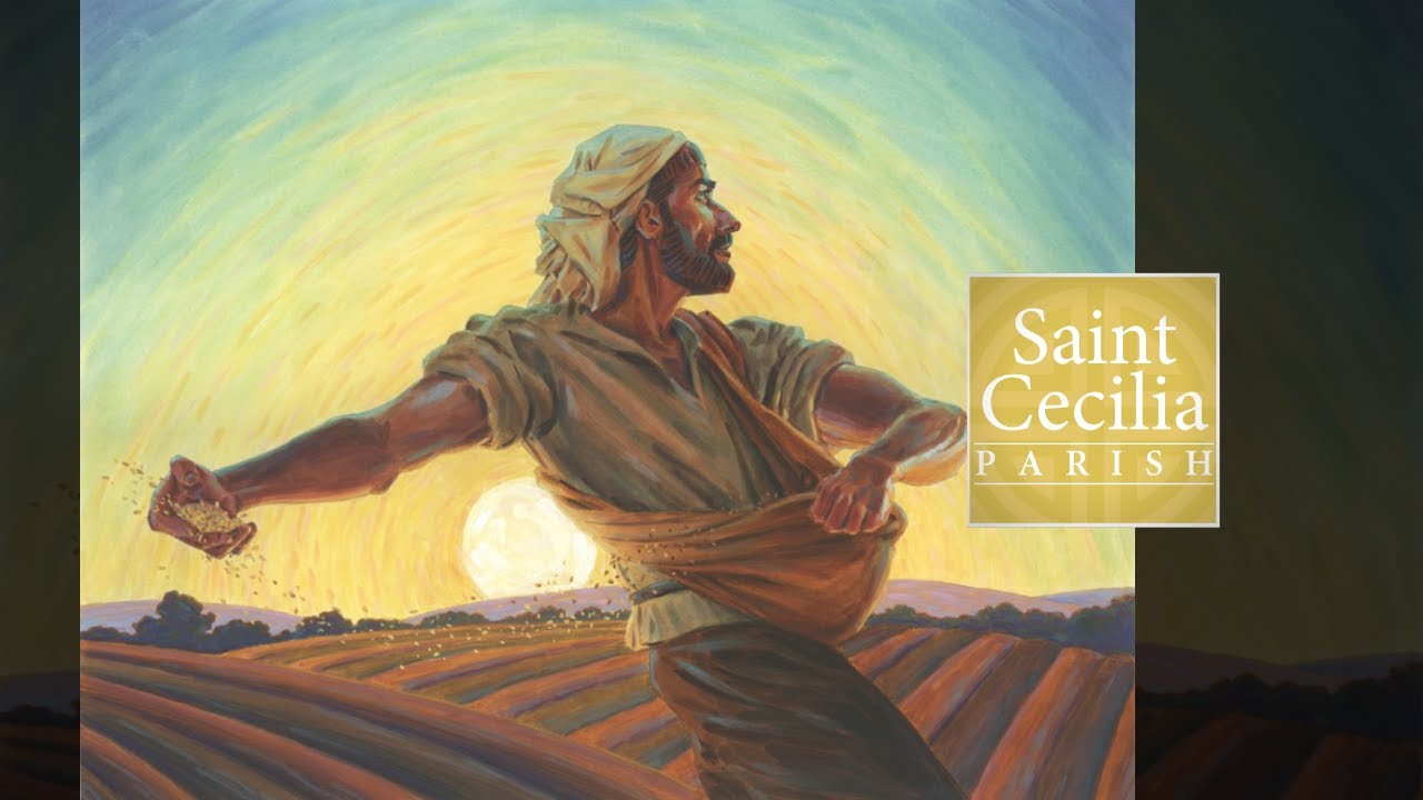 Fifteenth Sunday in Ordinary Time - 7/16/2023