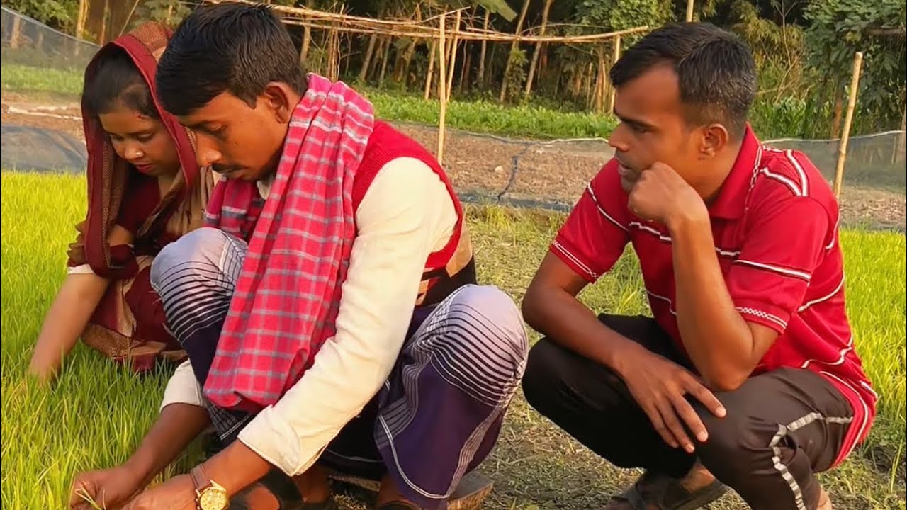 স্বামী স্ত্রী মিলে কামলা বিক্রি করে
