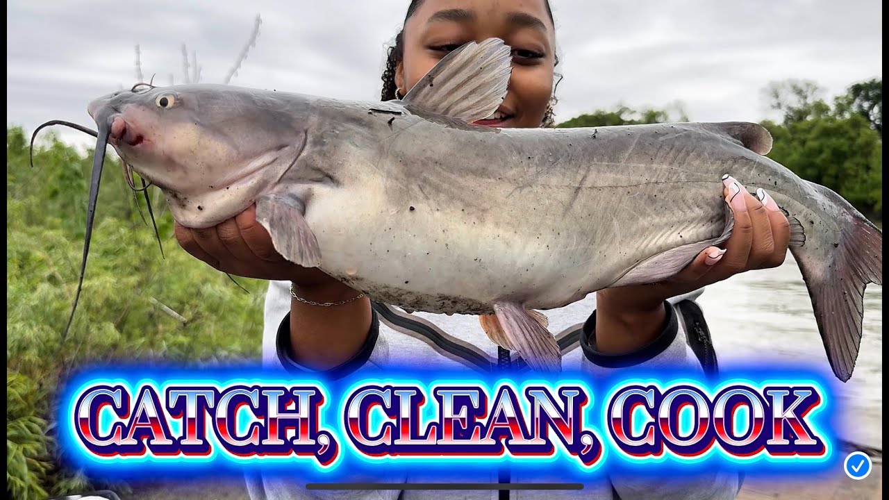 Catching Fish Using Beef Organs 🐄🎣 #fishing
