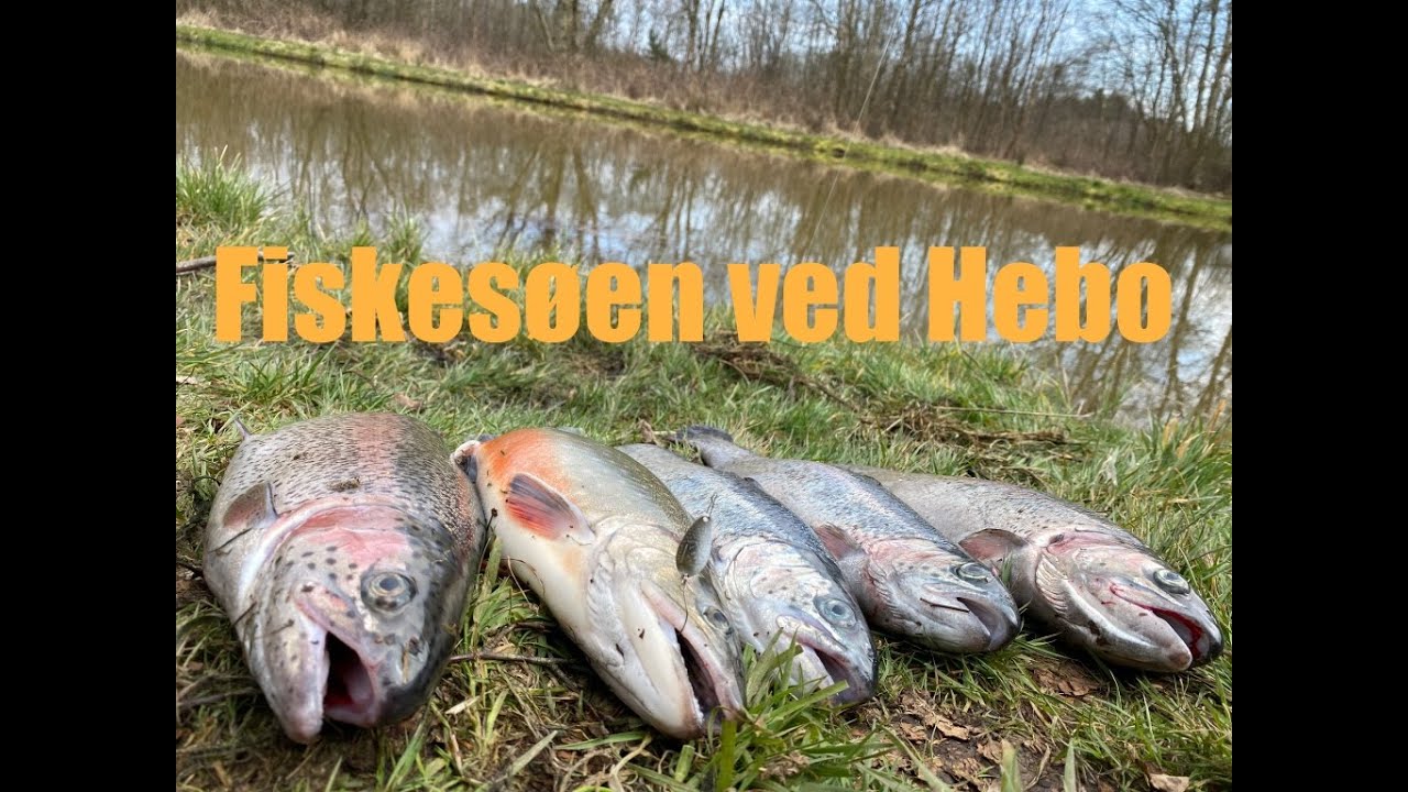 Fed fisketur hos Hebo