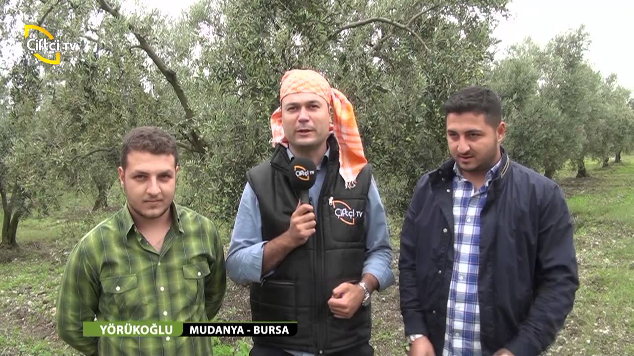 YÖRÜKOĞLU/6.BÖLÜM-MUDANYA/BURSA
