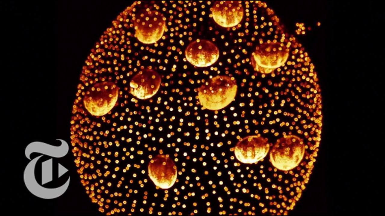Inside Out Embryo | ScienceTake | The New York Times