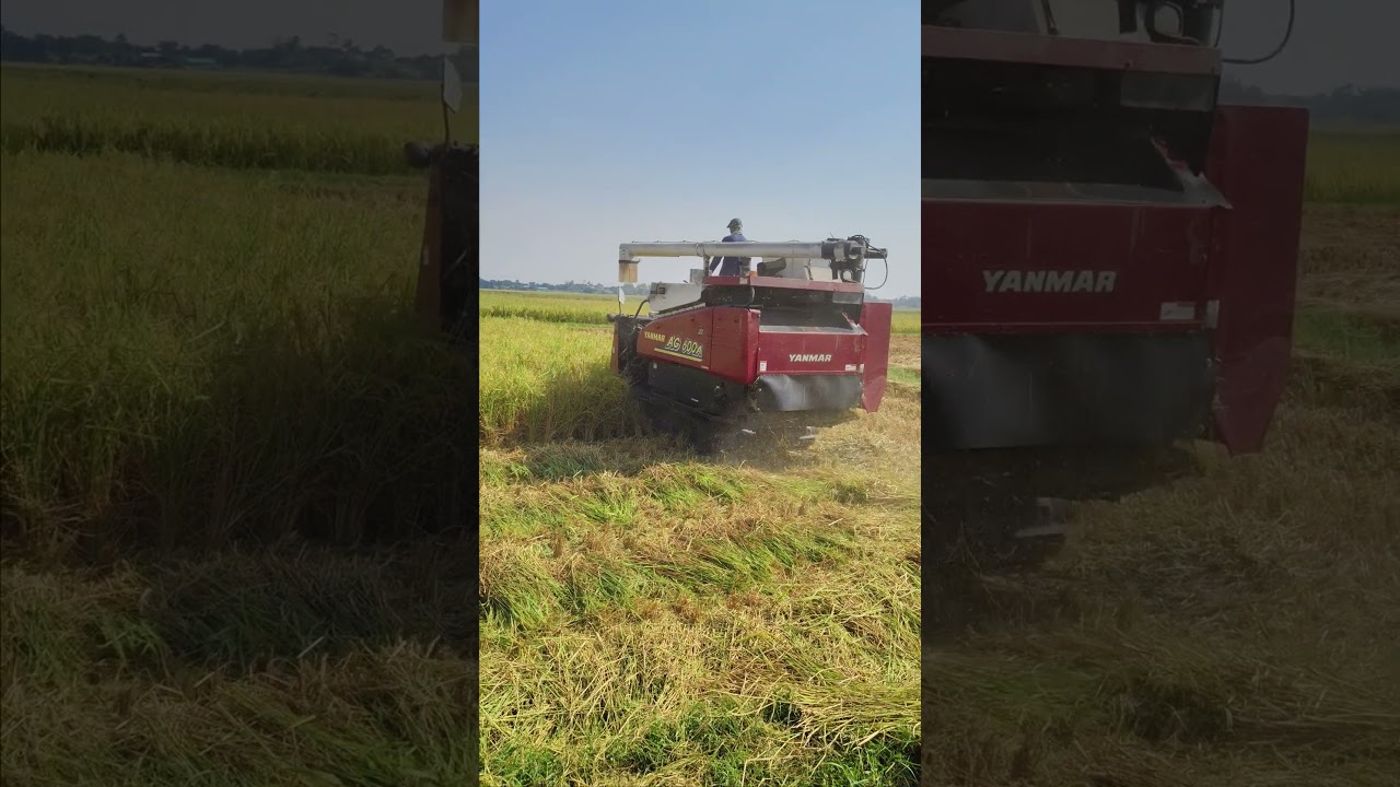 Yanmar AG600A #mdamanbabu #yanmar #short #shortvideo