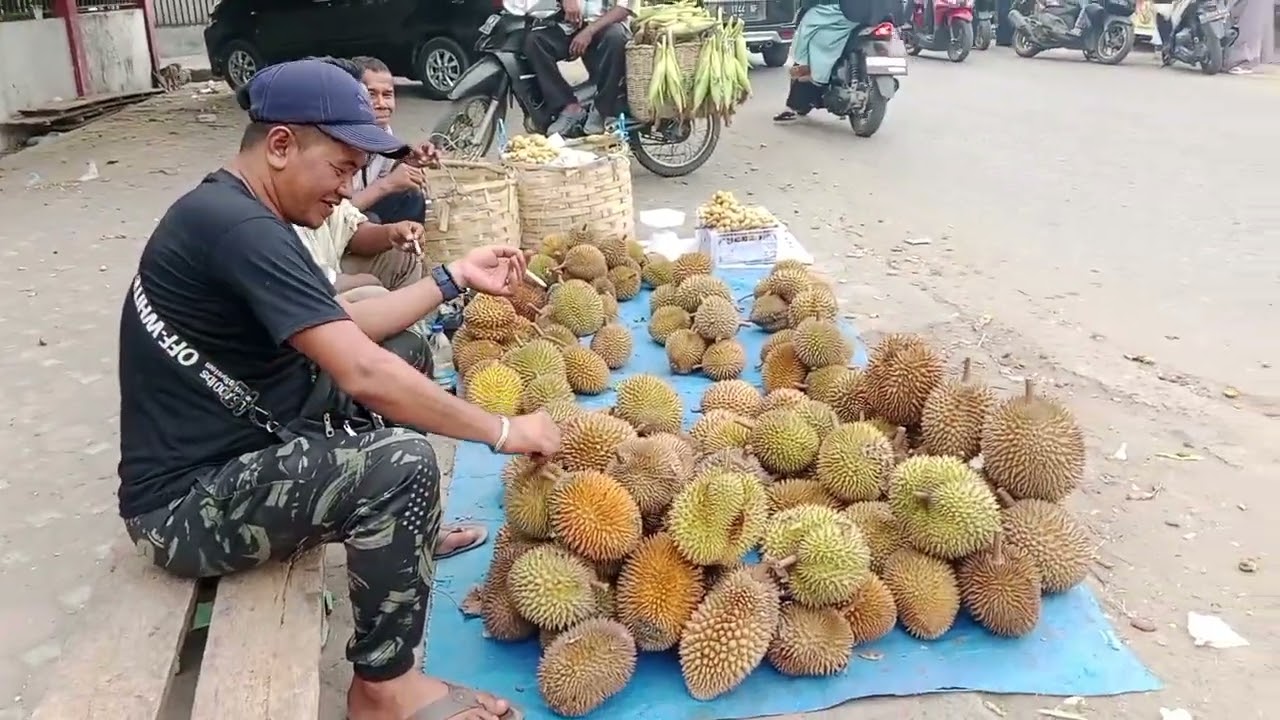KEUNIKAN DURIAN UJUNG MAS DAN DURIAN DUROE ITAM ACEH #durianaceh