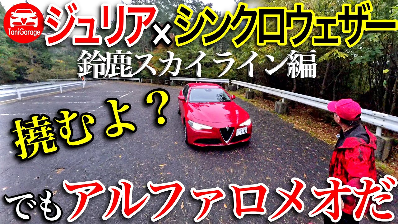 【峠】ジュリア×シンクロウェザーin鈴鹿スカイライン AlfaRomeo GIULIA super