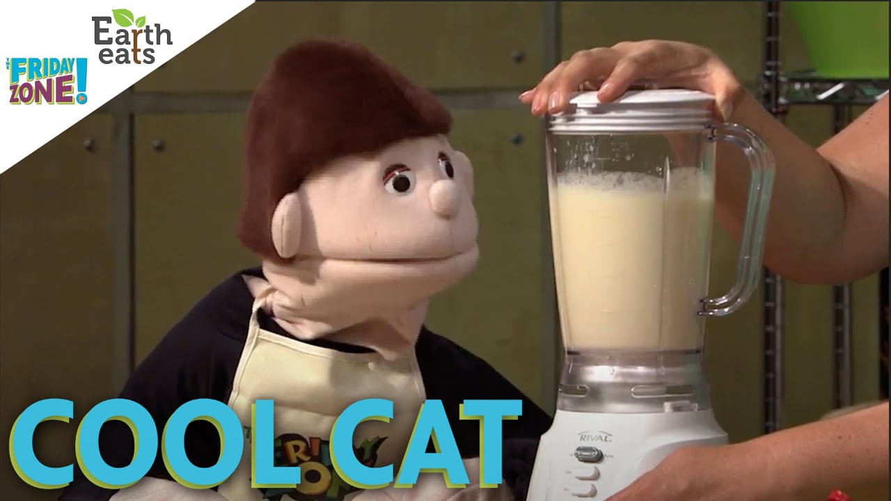 Cool Cat | Earth Eats on The Friday Zone