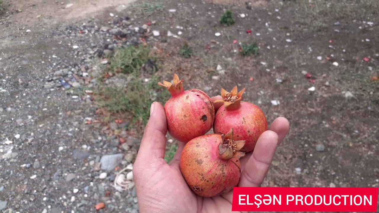 Ağdamın Qiyaslı kəndi son görüntüsü.