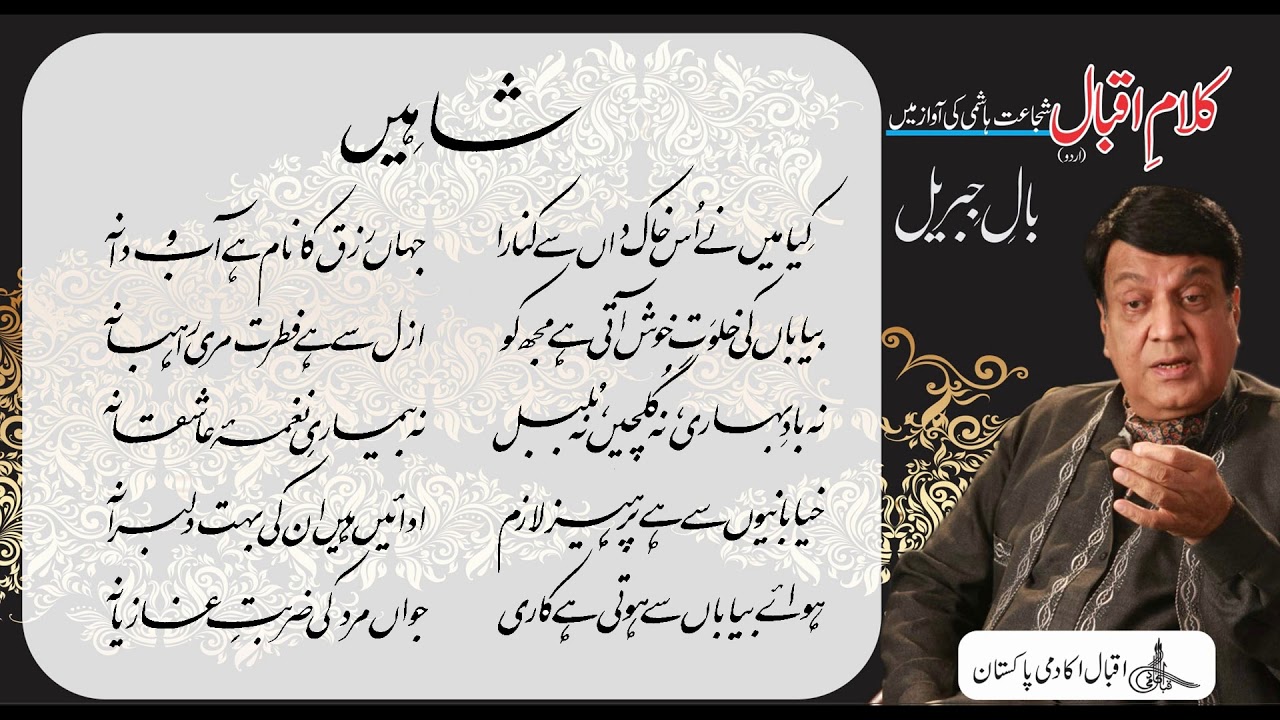 Allama Iqbal : Shujaat Reads Iqbal : Bal e Jibril, P-IV, Poems : Shaheen, شاہِیں