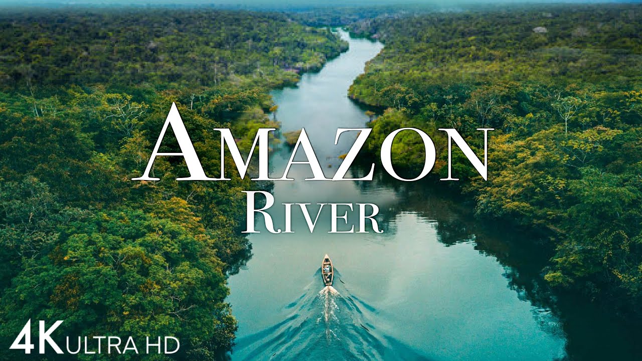 Amazon River 4k - Pink Dolphins In One Of The World’s Largest Rivers | Scenic Relaxation Film