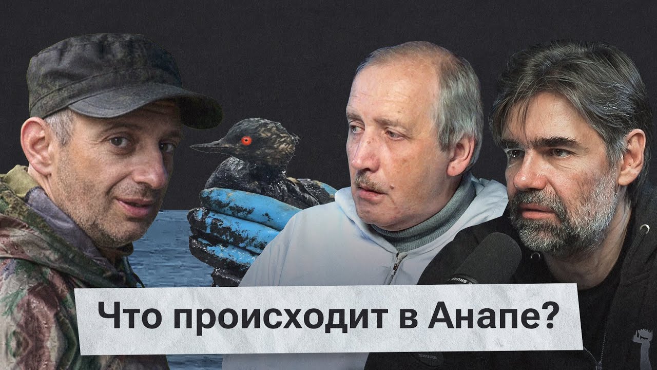 Анапа (не) справляется с разливом мазута. Что необходимо сделать? Эколог о последствиях катастрофы