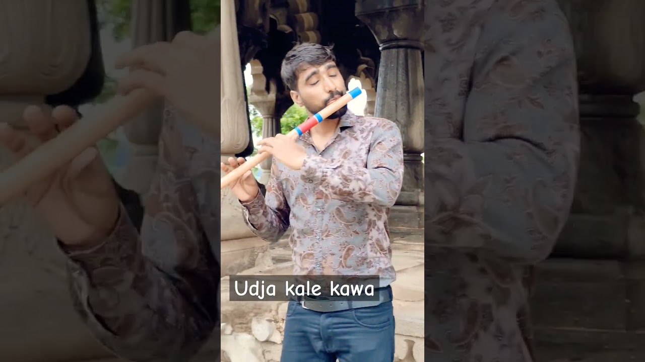Udja Kale Kawa&nbsp; flutecover #flute #music #song #flutecover #shyamflute #india @shyamflute5002