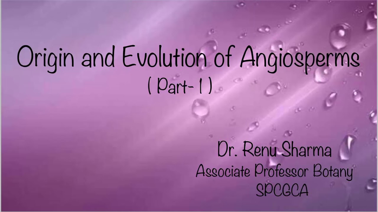 Origin and Evolution of Angiosperms Part - 1 ::  Dr. Renu Sharma