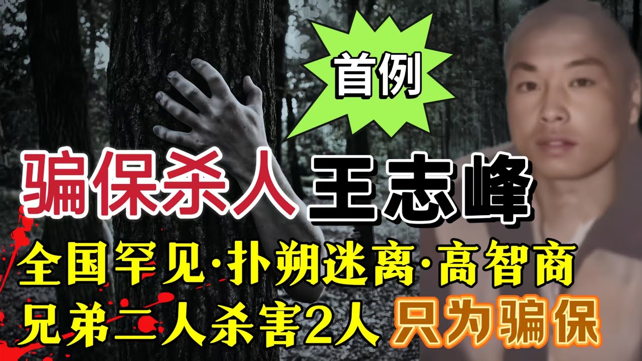 中国首例高智商特大连环杀人骗保案#案件調查 #真實案件