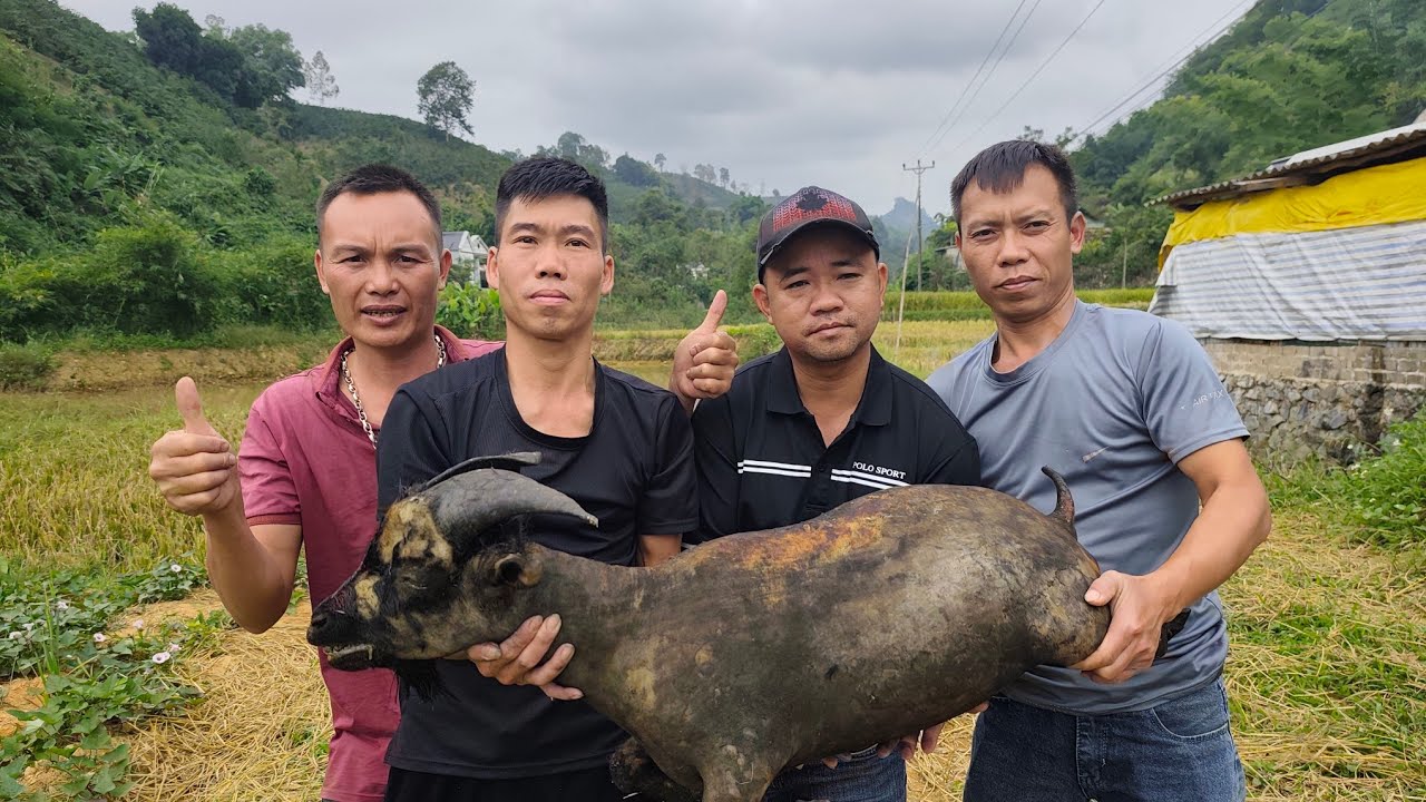 Thịt dê/Tam TV