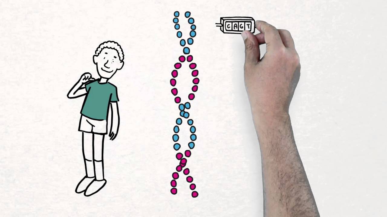 Ciencia: Draw my life - El genoma de los seres vivos