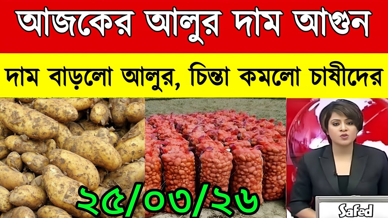আজকের আলুর বাজার মূল্য/india potato news West bangal/Potato price today west bengal