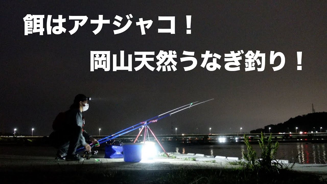 【うなぎ釣り】【天然ウナギ】ミラクルな釣れ方でラッキーだった！