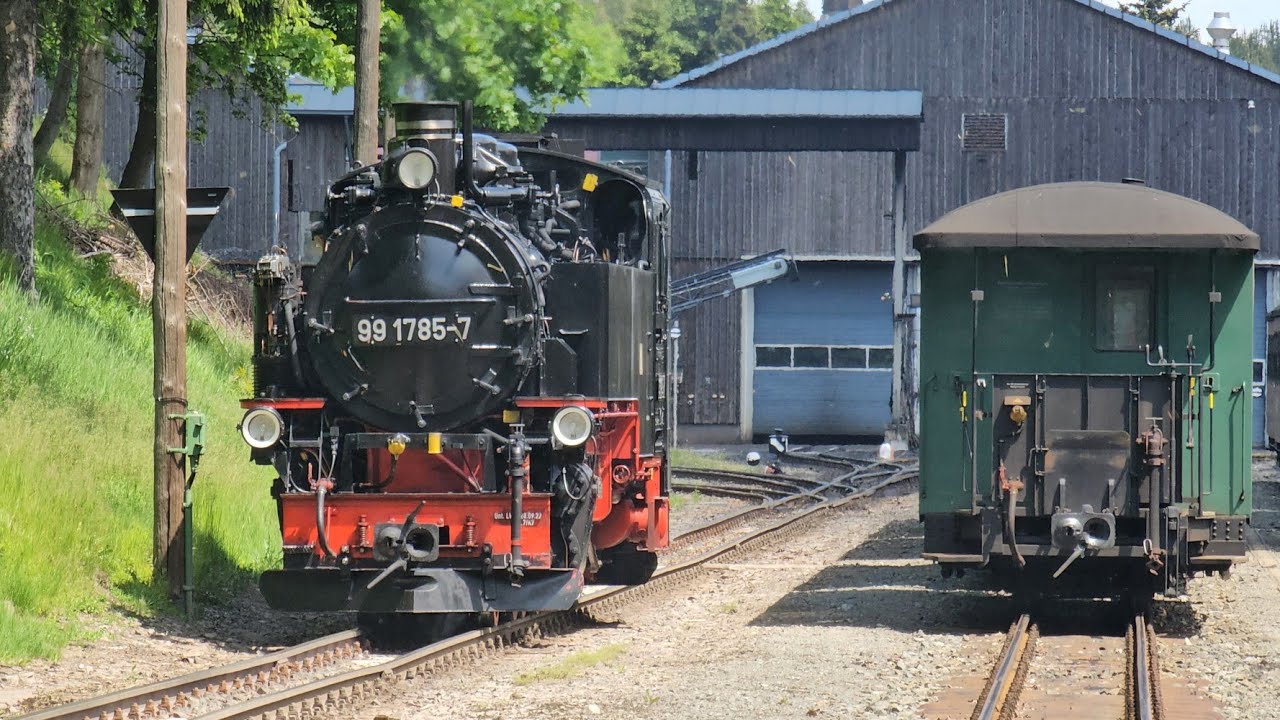 Kleinbahnidylle auf der Fichtelbergbahn in intakter Natur - Juni 2025