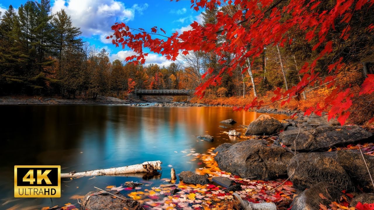 Majestic Aerial Views of Autumn Landscapes 4k UHD, Calm Piano Music.