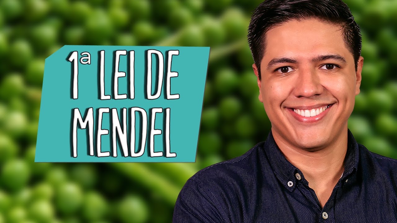 1ª LEI DE MENDEL  - Genética - Prof. Kennedy Ramos