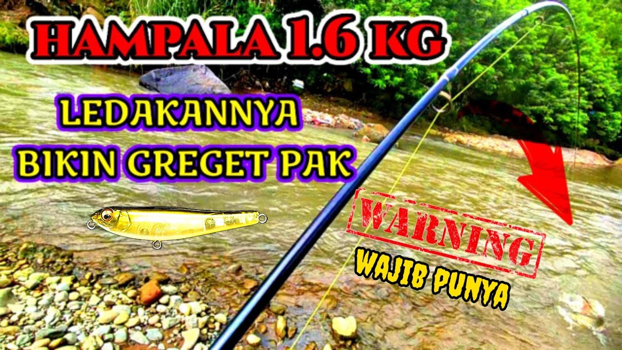 MEGABASS DOG X Jr. COAYU  REPLIKA WTD 7. CM - 6 GR  Tes buat ikan hampala