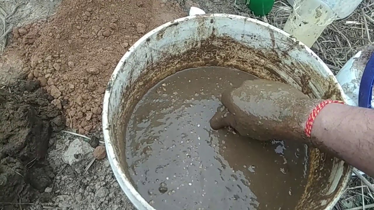 सेब के पौधे कैसे लगाएं|Apple plantation|GMS