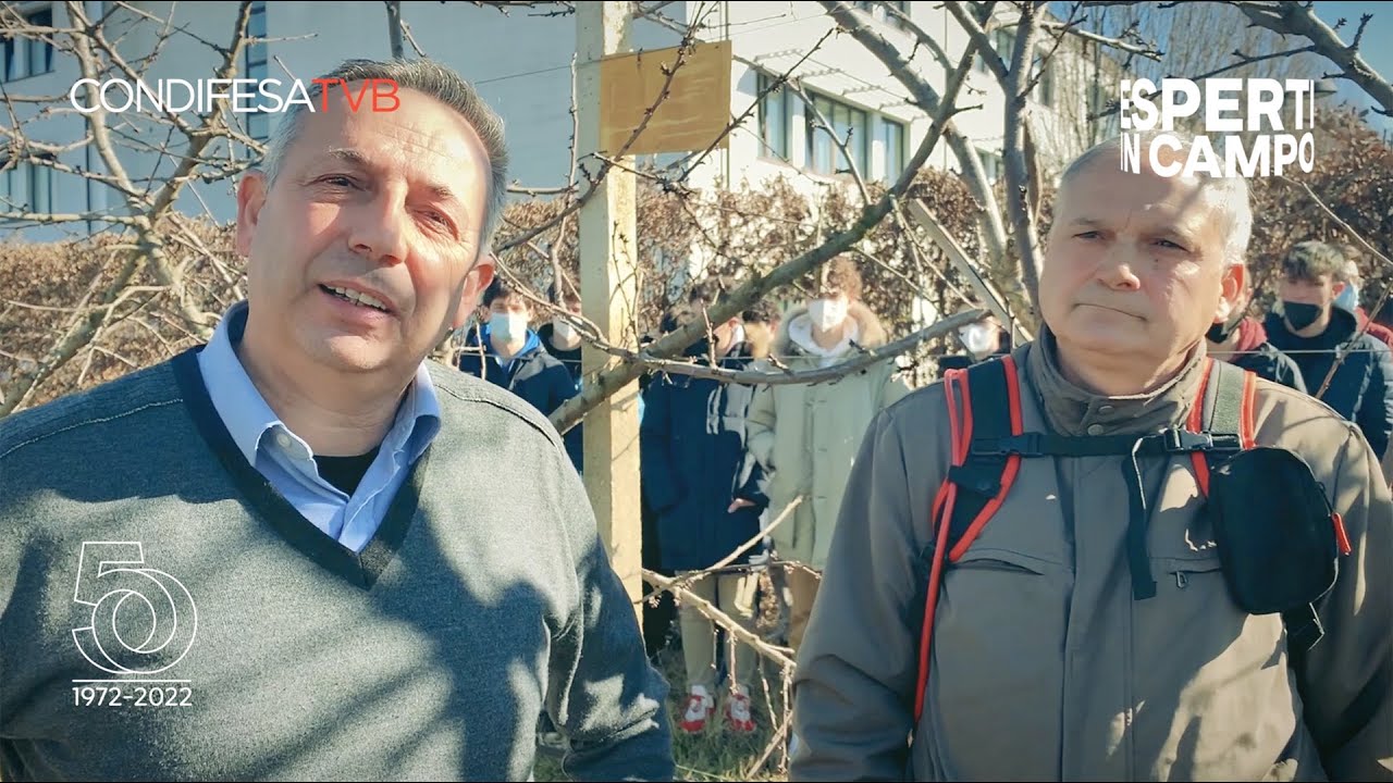 La cerasicoltura