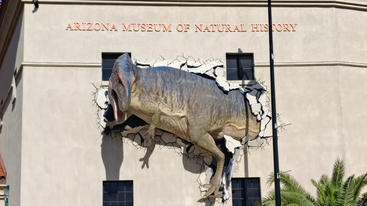 Vibrant & Educational Museum in Mesa 