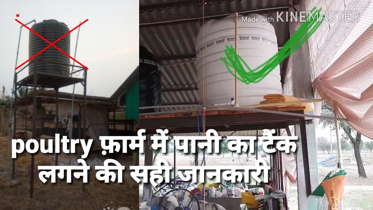 Poultry फार्म मे पानी के टैंक की वयवस्था किस प्रकार करे water management