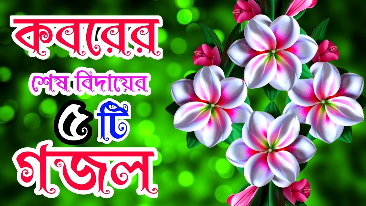 কবরের শেষ বিদায়ের কষ্টের গজল মরনের দুঃখের গজল শেষ বিদায়ের গজল। Emotional New Song Bangla Gazal New