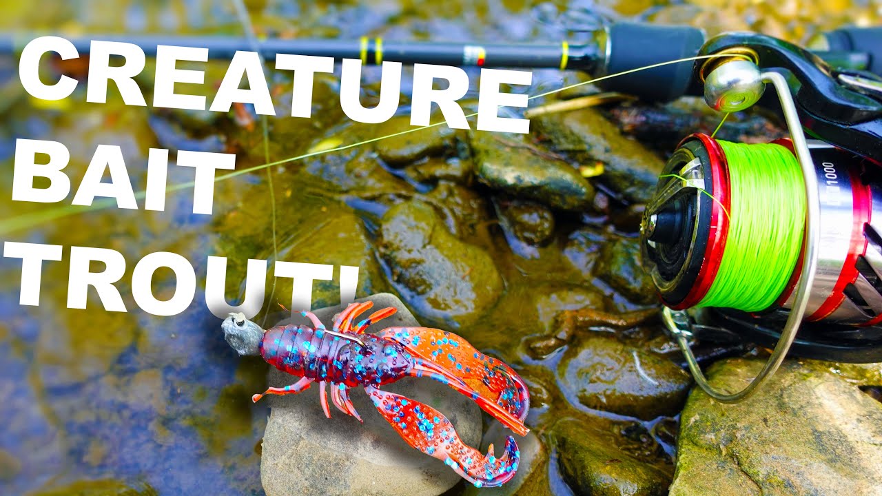 Fishing for WILD Trout with Creature Baits!