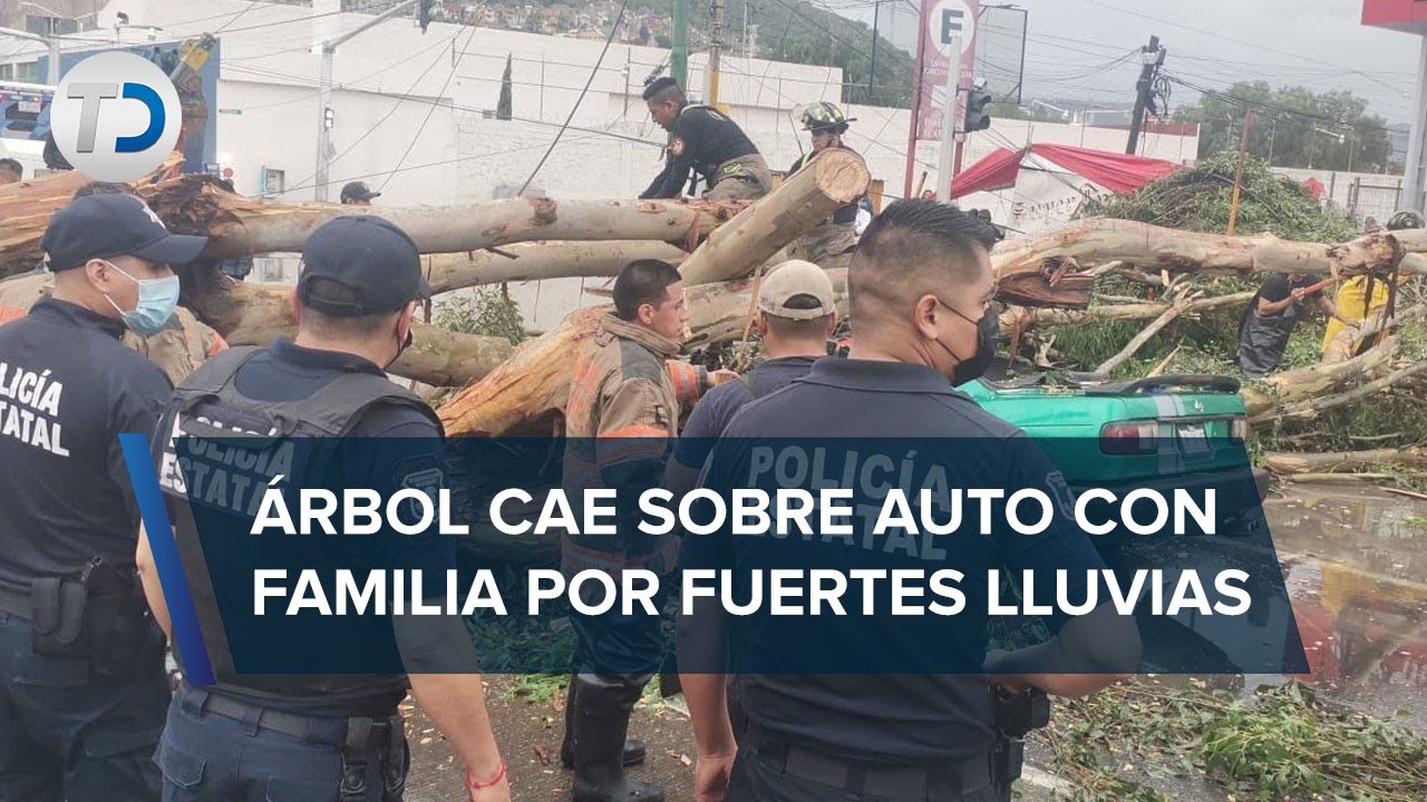Intensas lluvias derriban árbol sobre una familia en Ecatepec; hay un muerto